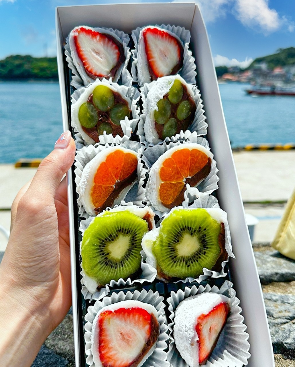서녹씨 과일모찌 모둠 — 딸기·귤·키위·샤인머스캣